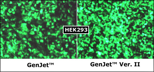 GenJet_Ver_II_vs_GenJet_HEK293