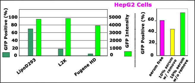 LipoD203_vs_Lipo2000_HepG2