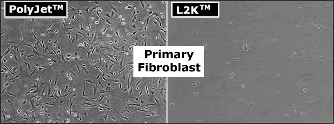PolyJet_L2K_Primary_Fibroblast